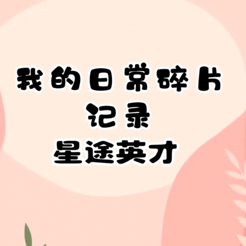 Real-Life Vlog of U.S. High School Students